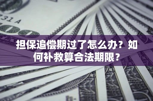 济南担保追偿期过了怎么办？如何补救算合法期限？