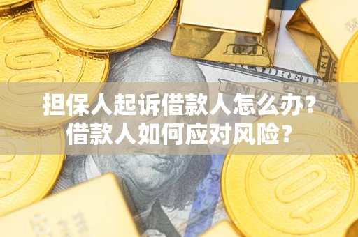 济南担保人起诉借款人怎么办？借款人如何应对风险？
